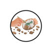 Picture of DIGGING DINO EGG